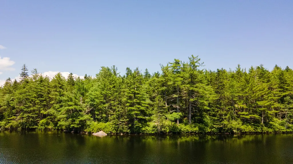 Lot 23 Northfield Road Marshfield ME 04654