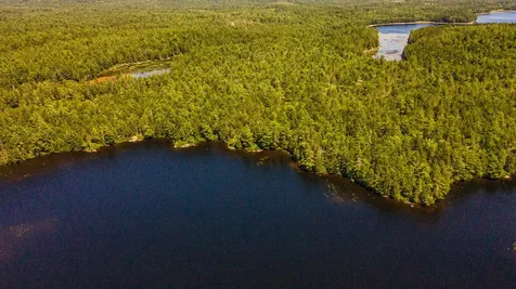 Lot 23 Northfield Road Marshfield ME 04654