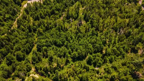Lot 23 Northfield Road Marshfield ME 04654