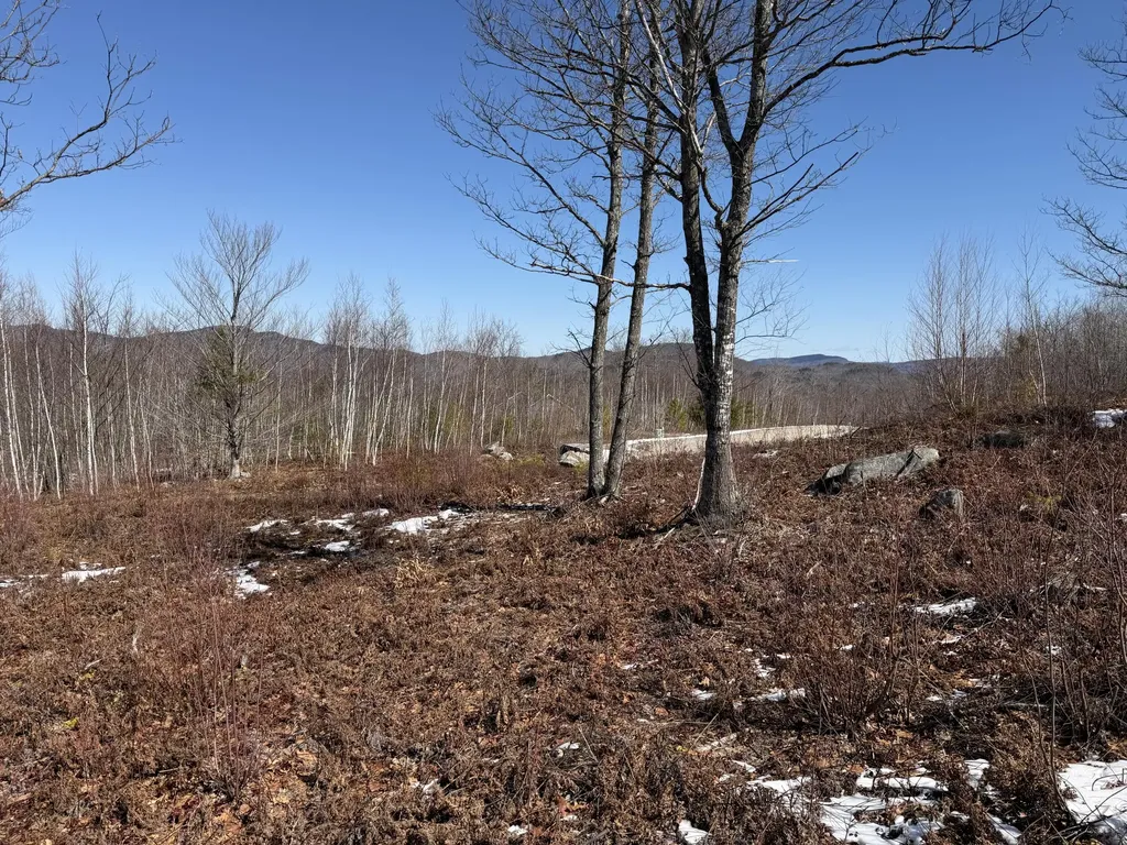 105 Mine Road Stoneham ME 04231