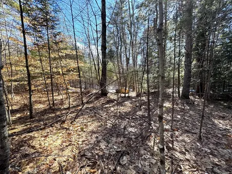 Lot 5 Lords Hill Road Brownfield ME 04010