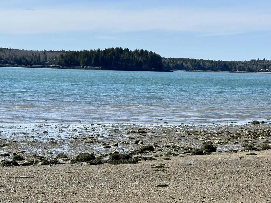 Lot 55a/72 Yoho Head Road Machiasport ME 04655