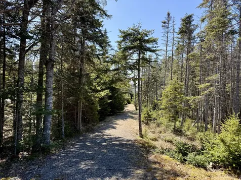 Lot 55a/72 Yoho Head Road Machiasport ME 04655