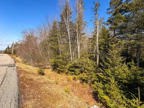 Lot 55a/72 Yoho Head Road Machiasport ME 04655
