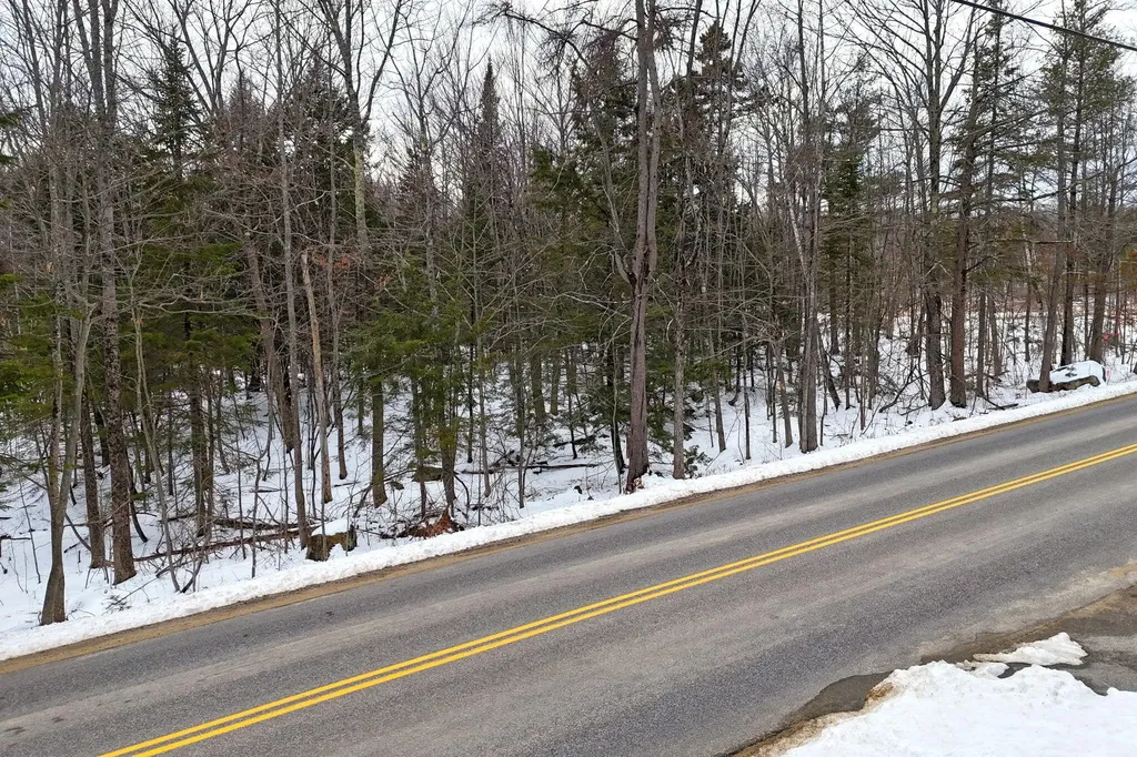 Lot 30 Brighton Hill Road Minot ME 04258