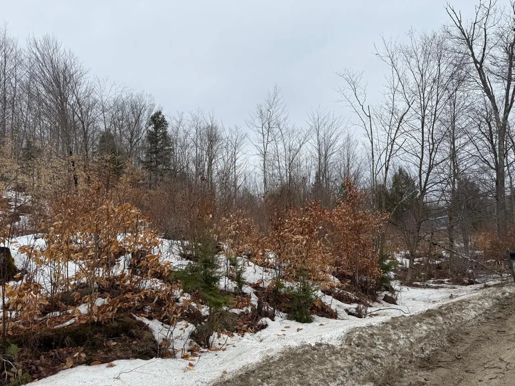 Buckfield ME 04220