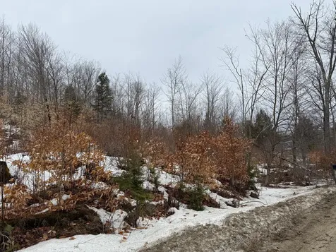 Buckfield ME 04220
