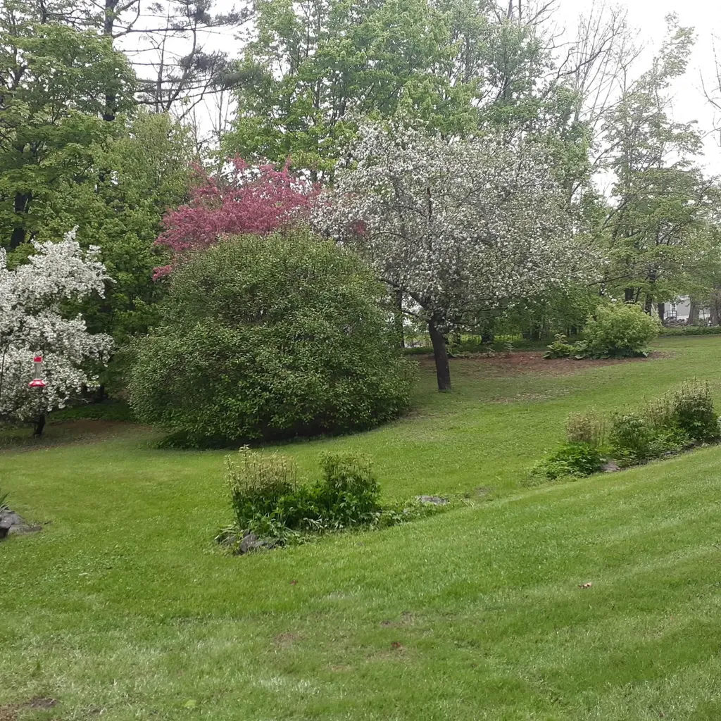 61 Pleasant Street Dexter ME 04930