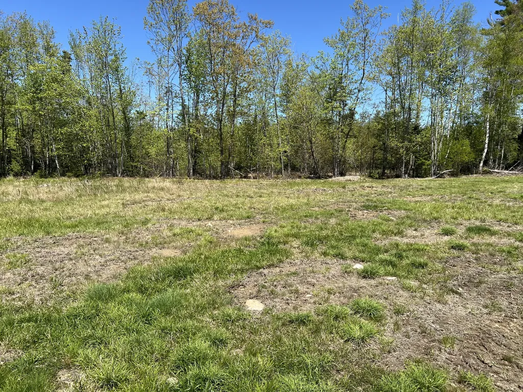0 Holmes Drive Bucksport ME 04416