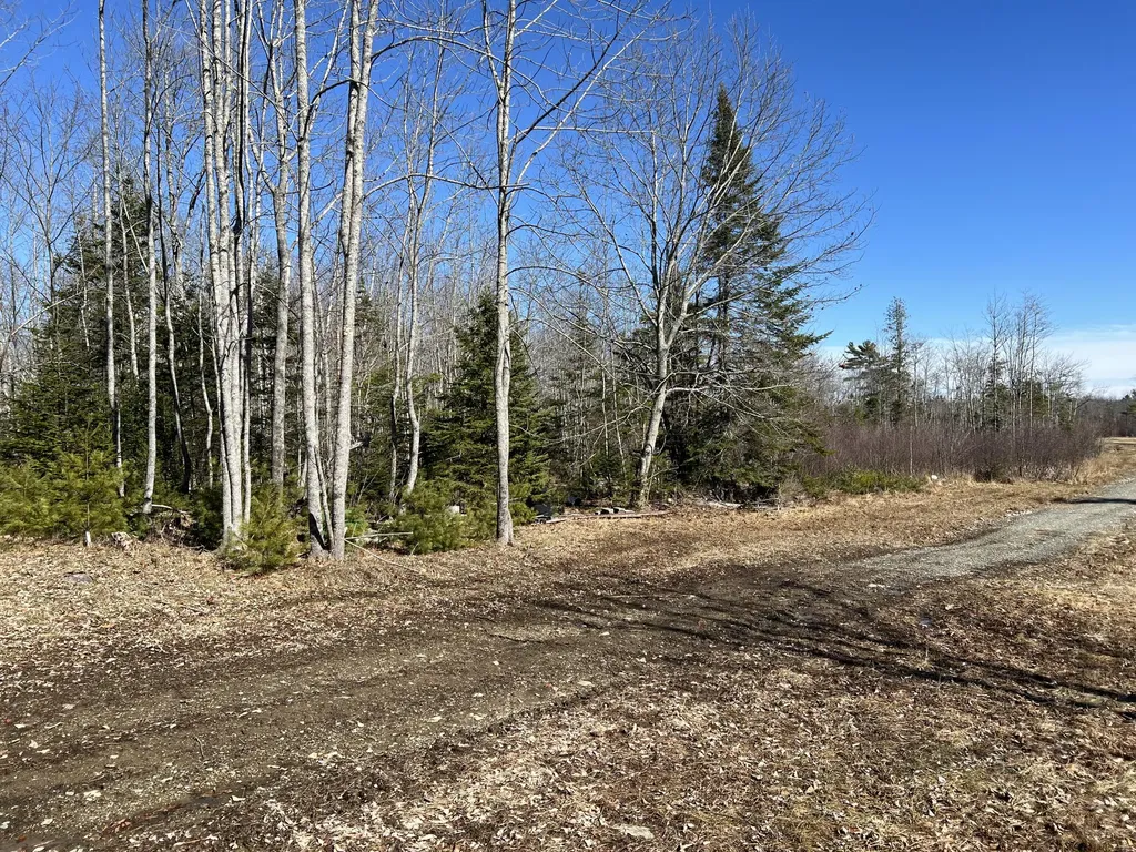 0 Holmes Drive Bucksport ME 04416