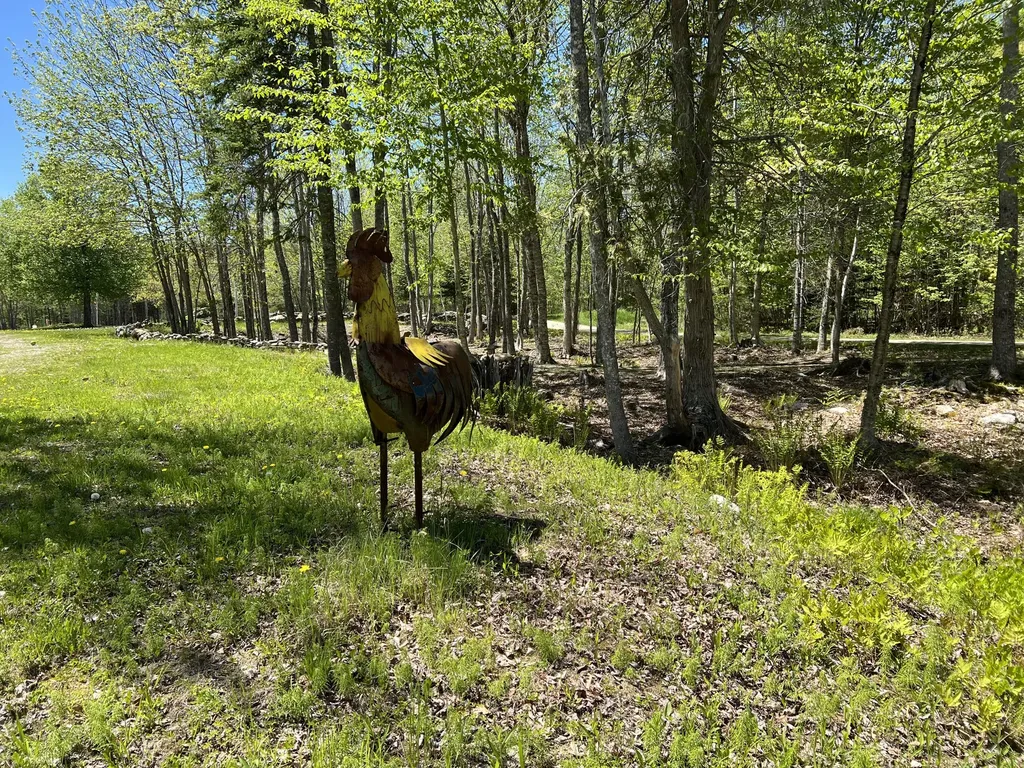 0 Holmes Drive Bucksport ME 04416