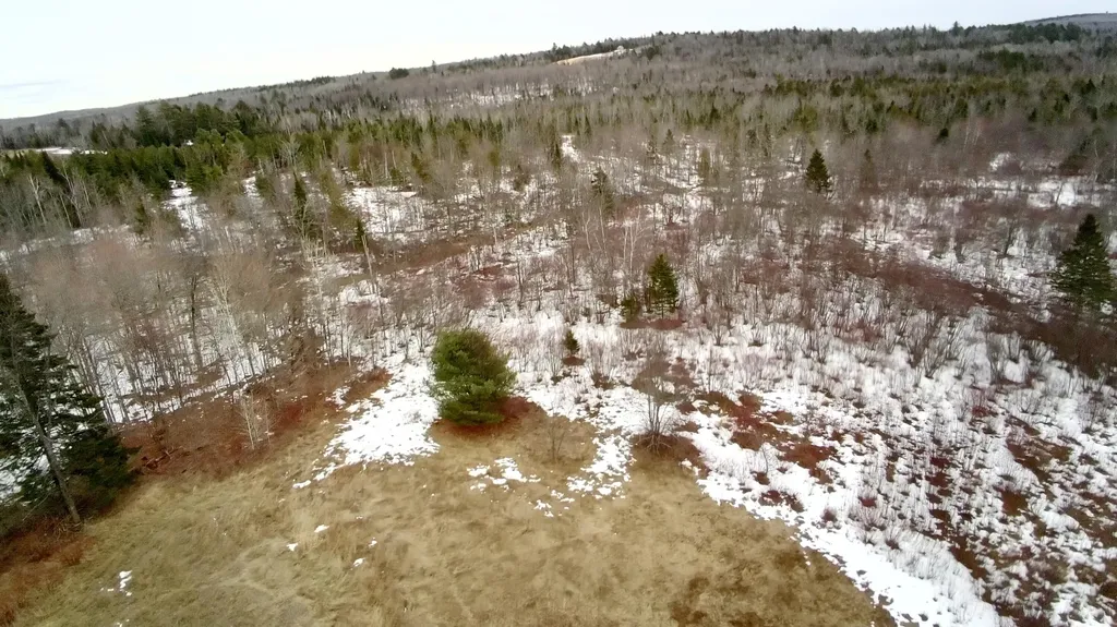 1354 Maine 150 Parkman ME 04443
