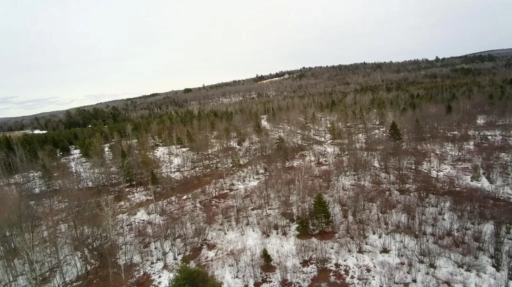 1354 Maine 150 Parkman ME 04443
