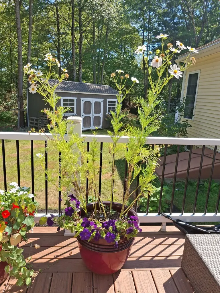 35 Deerfield Drive Brunswick ME 04011