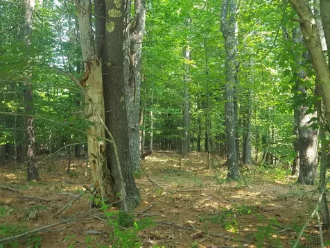 594 River Road Windham ME 04062