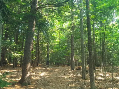 594 River Road Windham ME 04062