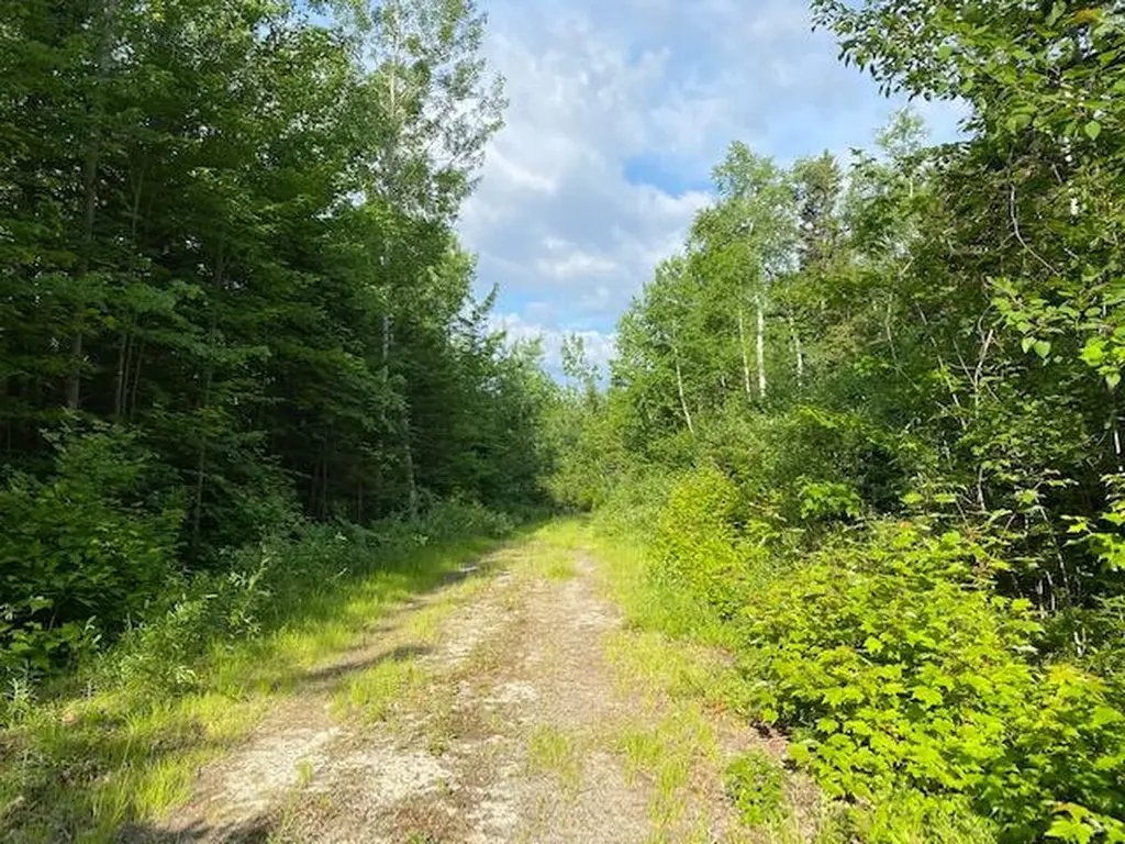 M3/L9.11 Bemis Road Rangeley Plt ME 04970