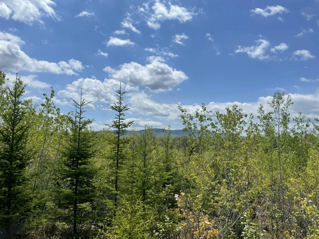 M3/L9.11 Bemis Road Rangeley Plt ME 04970