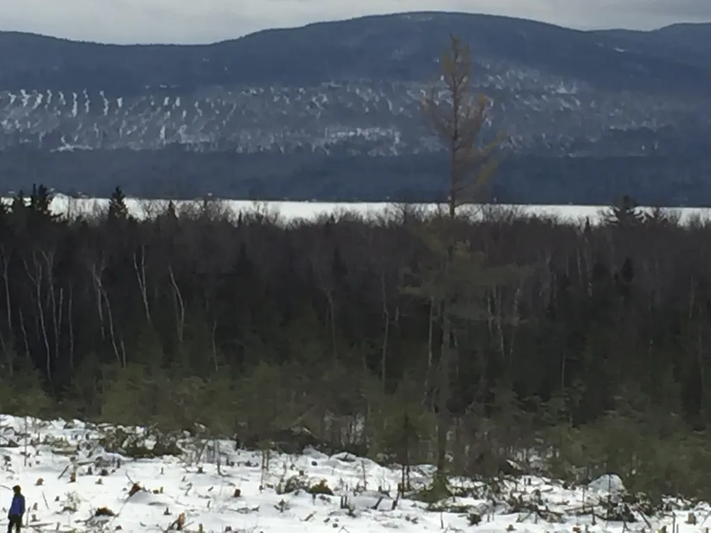 M3/L9.11 Bemis Road Rangeley Plt ME 04970