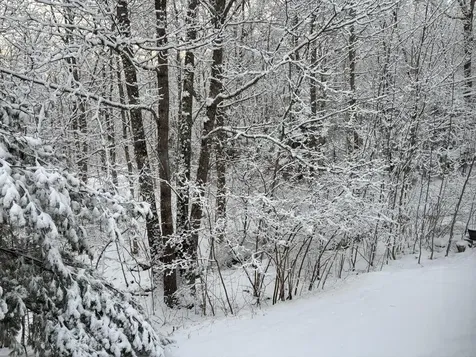 5 Morrison Road Bristol ME 04564