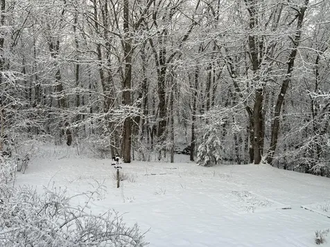 5 Morrison Road Bristol ME 04564