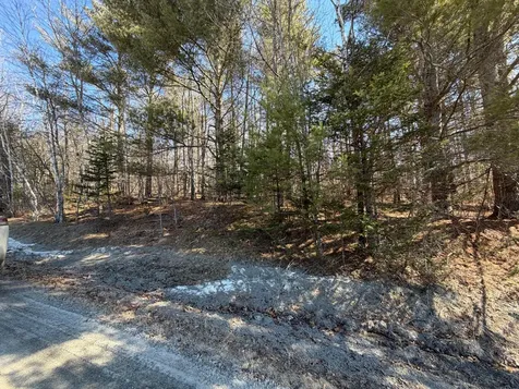 Map 10 Lot 11 Finson Road Saint Albans ME 04971