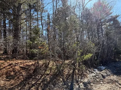 Map 10 Lot 11 Finson Road Saint Albans ME 04971