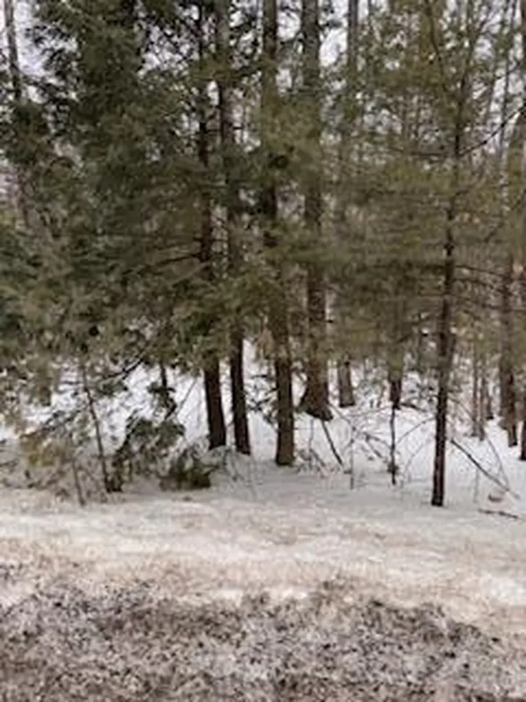 Lot# 0 Roosevelt Trail Naples ME 04055