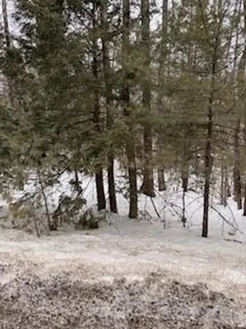 Lot# 0 Roosevelt Trail Naples ME 04055