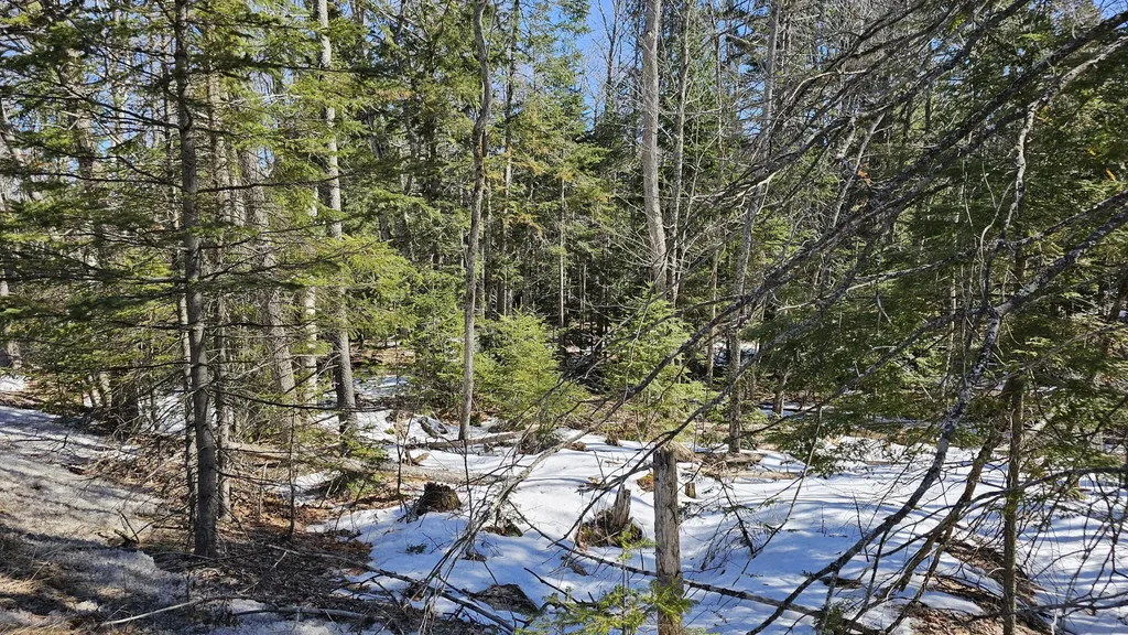 41-000-000 Kidder Hill Road Holden ME 04429