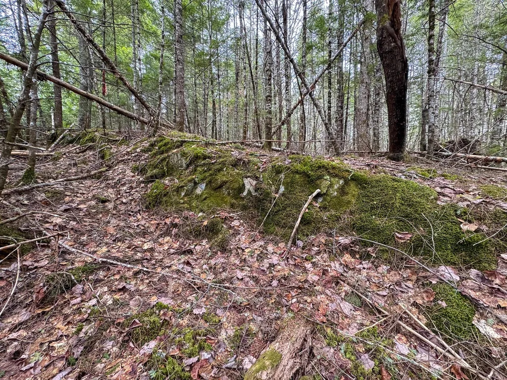 M1L58.3 Pickerel Pond Road Greenfield Twp ME 04418