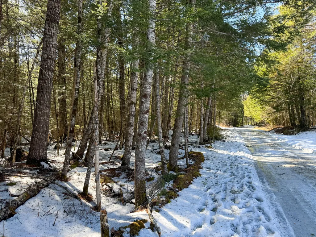 M1L58.3 Pickerel Pond Road Greenfield Twp ME 04418