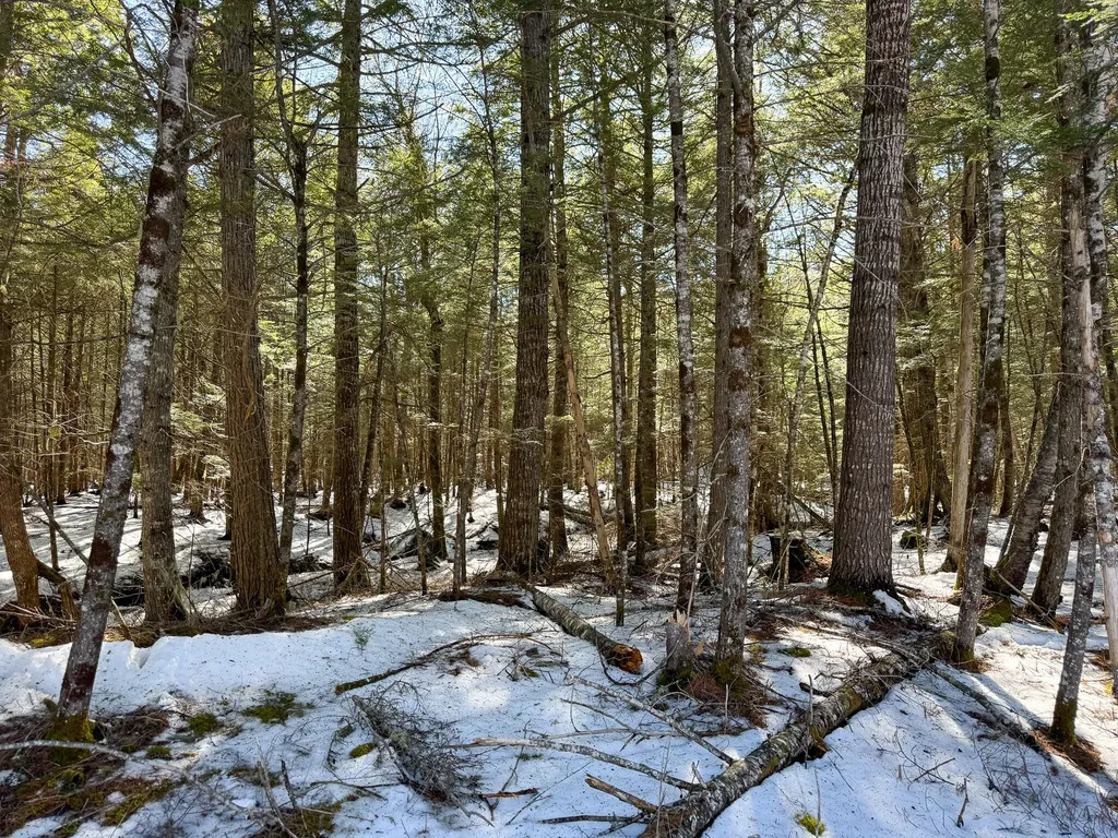 M1L58.3 Pickerel Pond Road Greenfield Twp ME 04418