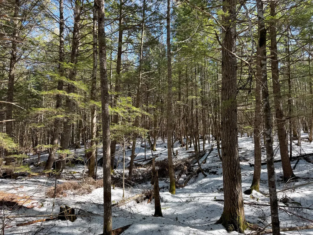 M1L58.3 Pickerel Pond Road Greenfield Twp ME 04418