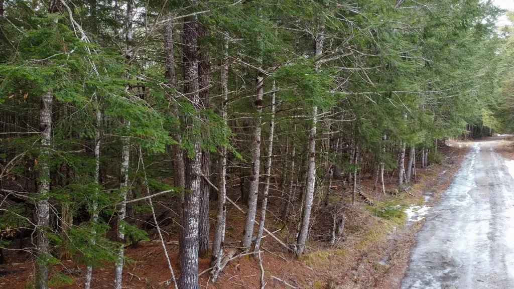 M1L58.3 Pickerel Pond Road Greenfield Twp ME 04418