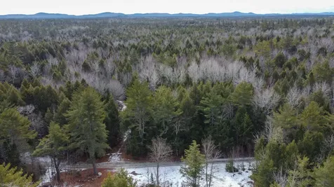 M1L58.3 Pickerel Pond Road Greenfield Twp ME 04418