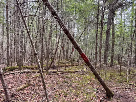 M1L58.3 Pickerel Pond Road Greenfield Twp ME 04418