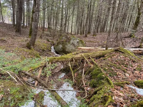 M1L58.3 Pickerel Pond Road Greenfield Twp ME 04418