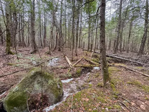 M1L58.3 Pickerel Pond Road Greenfield Twp ME 04418