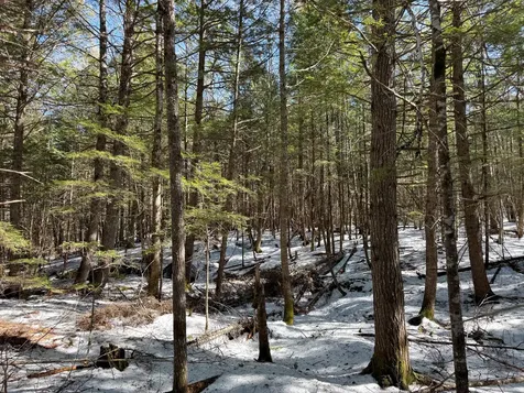 M1L58.3 Pickerel Pond Road Greenfield Twp ME 04418