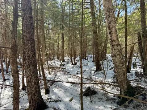 M1L58.3 Pickerel Pond Road Greenfield Twp ME 04418