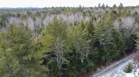 M1L58.3 Pickerel Pond Road Greenfield Twp ME 04418