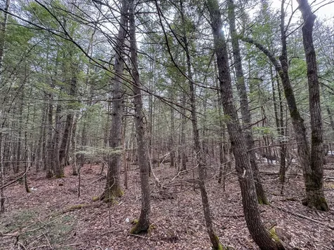 M1L58.3 Pickerel Pond Road Greenfield Twp ME 04418