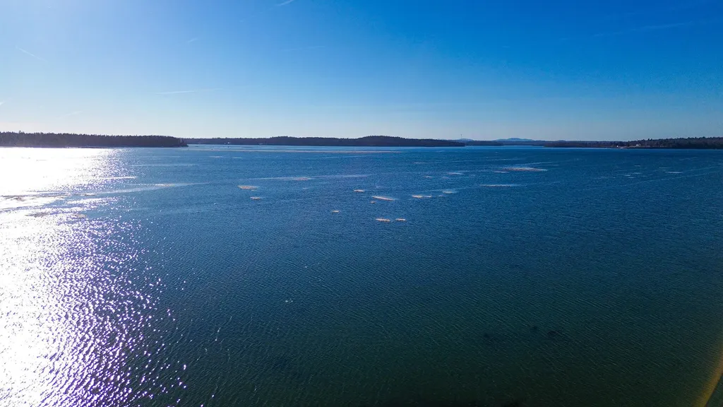 251 Ripley Neck Road Harrington ME 04643