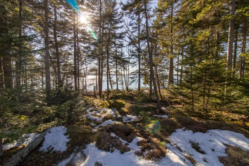 251 Ripley Neck Road Harrington ME 04643