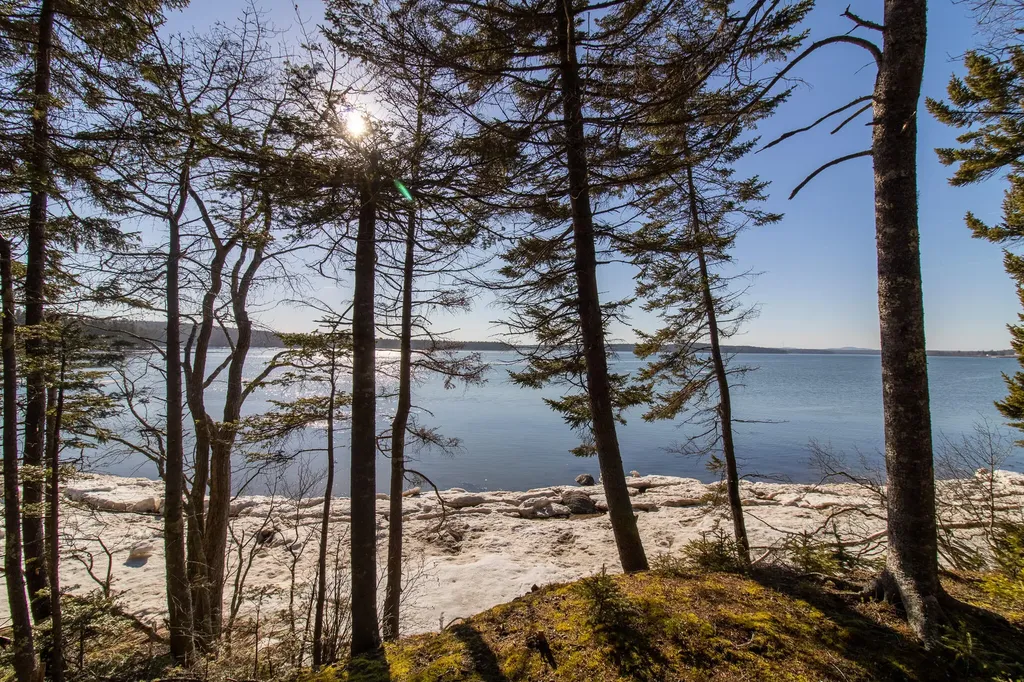 251 Ripley Neck Road Harrington ME 04643