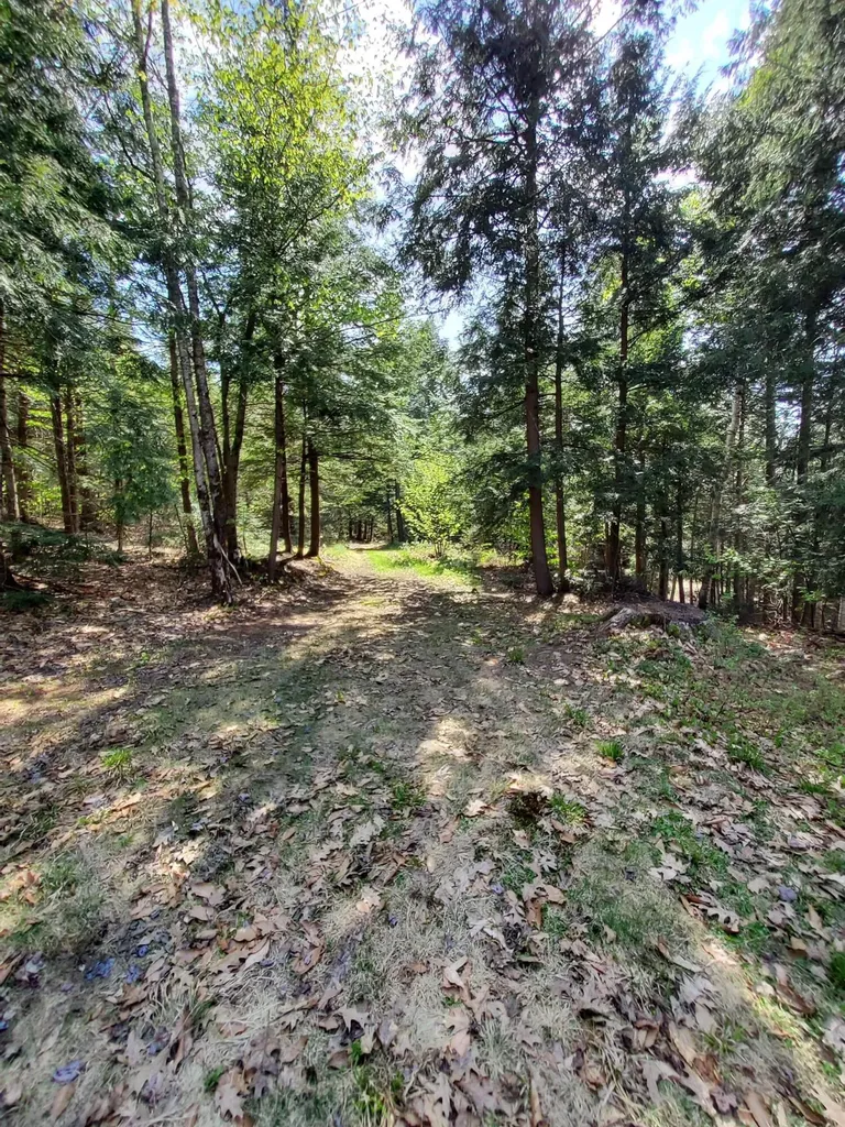 1729 Federal Road & Map U-5, Lot 12 Livermore ME 04253
