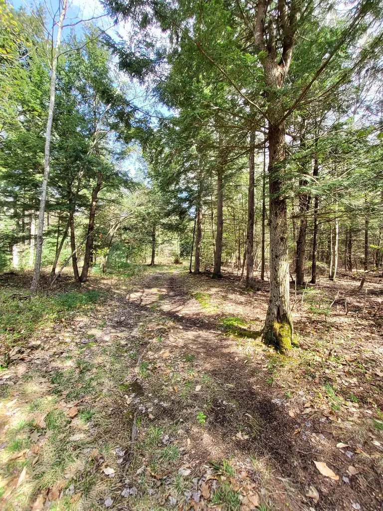 1729 Federal Road & Map U-5, Lot 12 Livermore ME 04253
