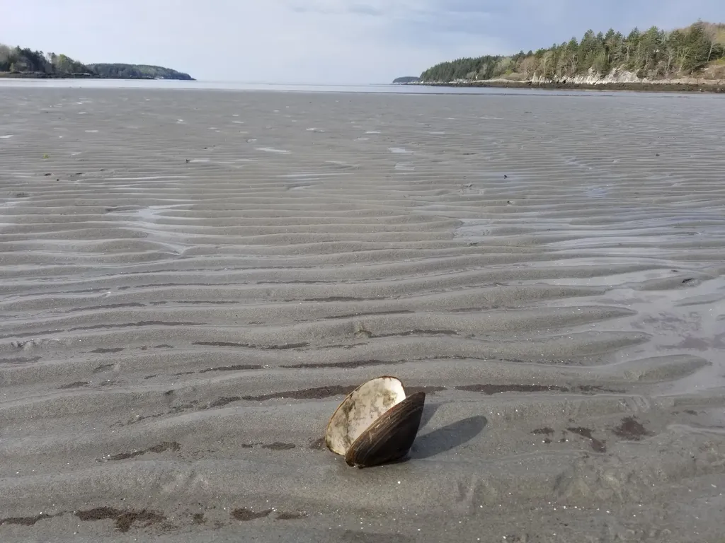 0 Sebasco Road Phippsburg ME 04562
