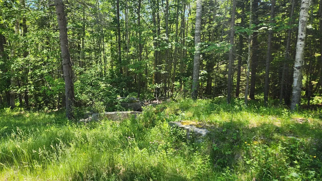 0 Sebasco Road Phippsburg ME 04562